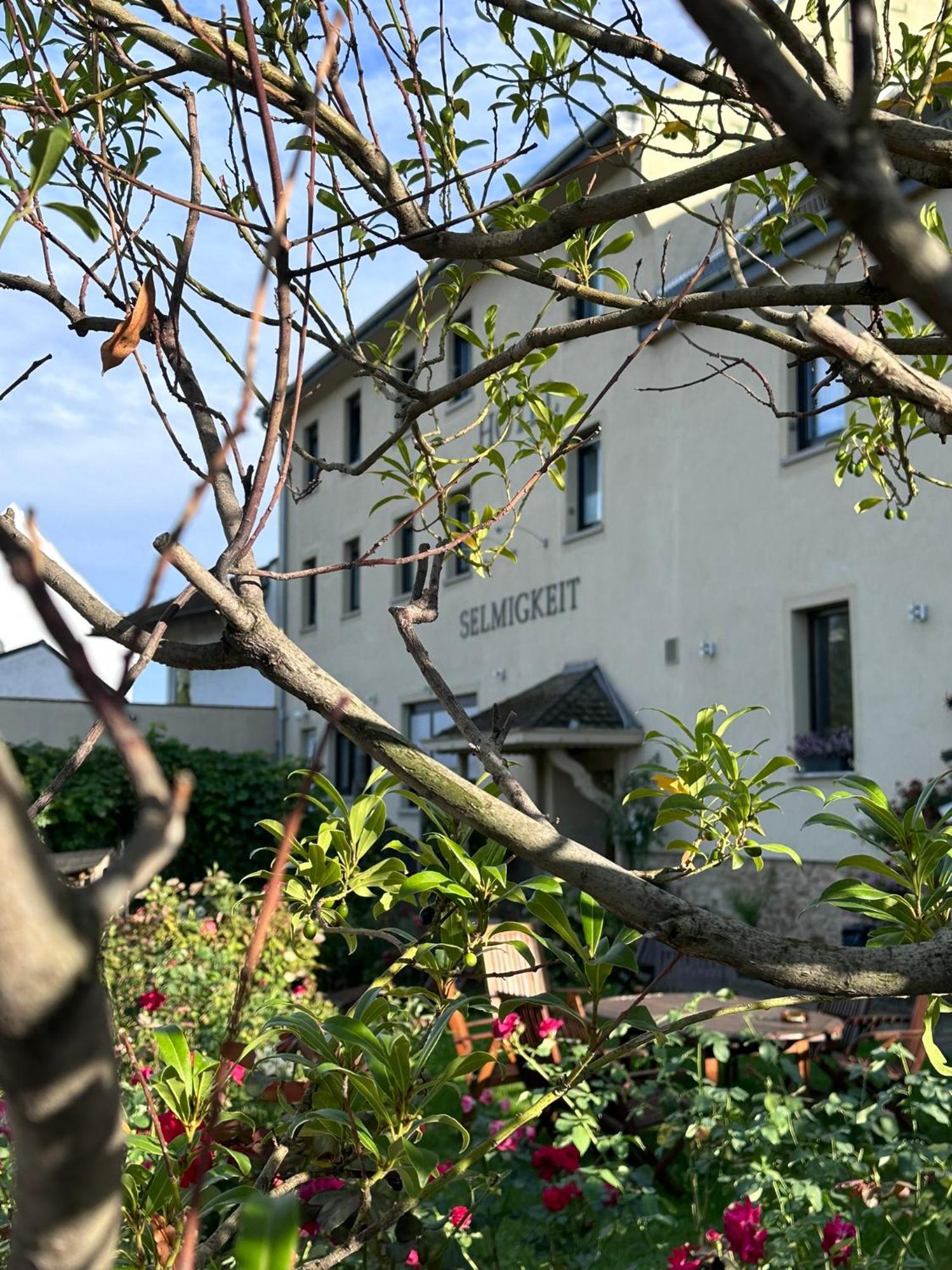 Hotel Weinhaus Selmigkeit Bingen am Rhein Esterno foto