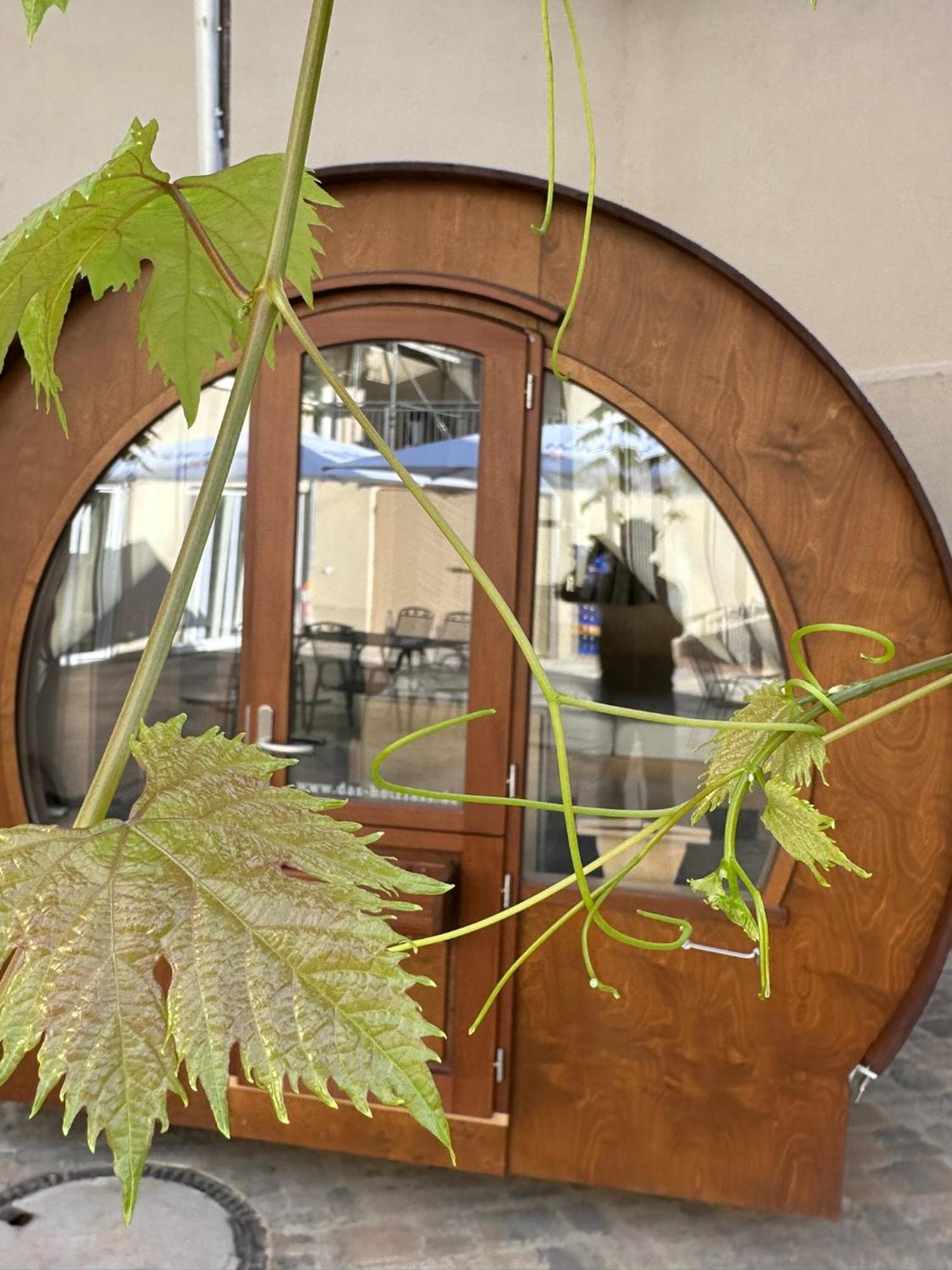Hotel Weinhaus Selmigkeit Bingen am Rhein Esterno foto