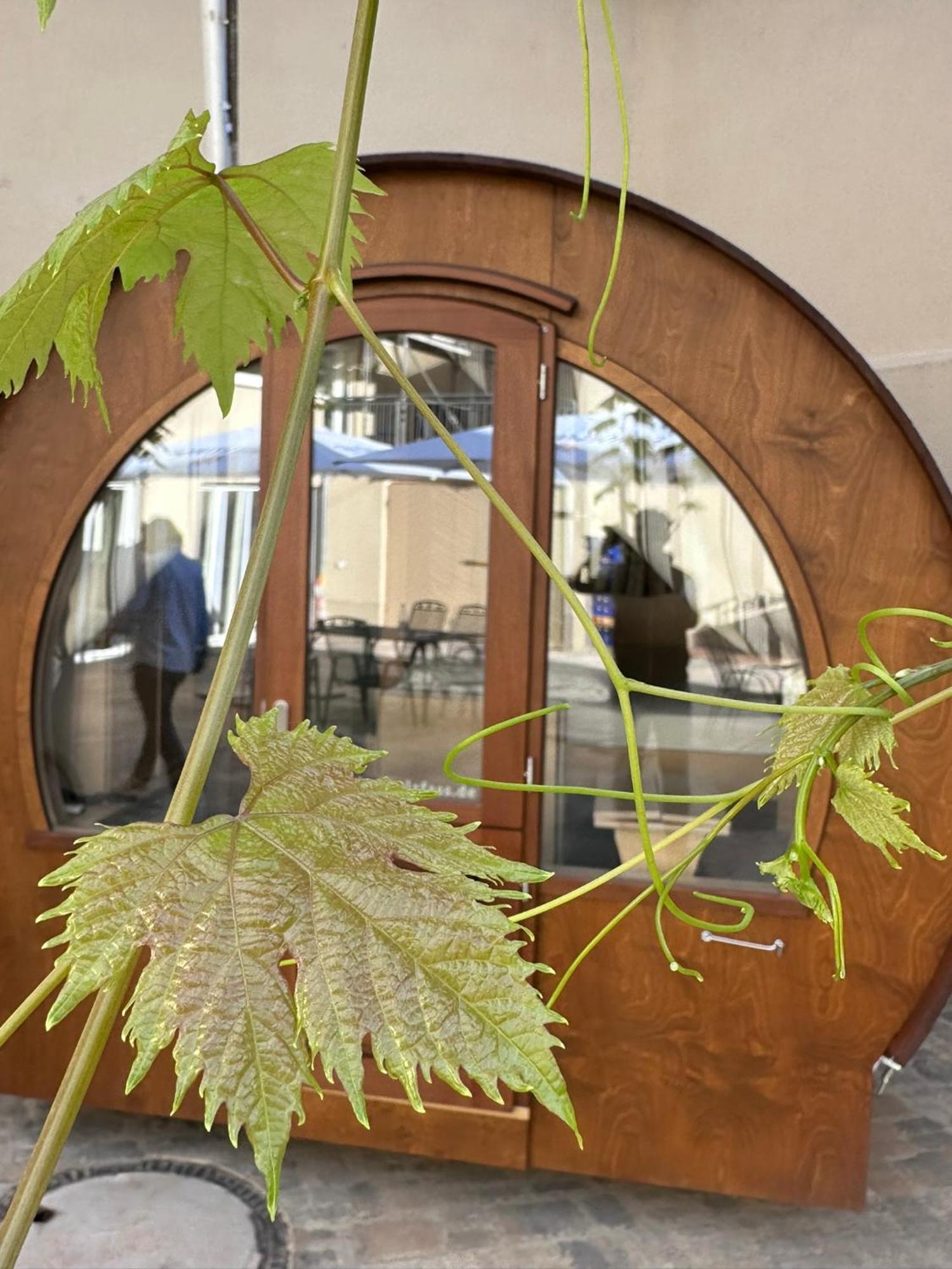 Hotel Weinhaus Selmigkeit Bingen am Rhein Esterno foto
